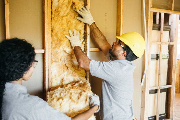 Best Batt and Roll Insulation  in Cabana Colony, FL